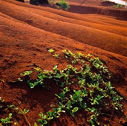 TGA“玩家之声”前十强出炉 第二轮投票正式开启 